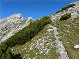 Planina Podvežak - Ojstrica